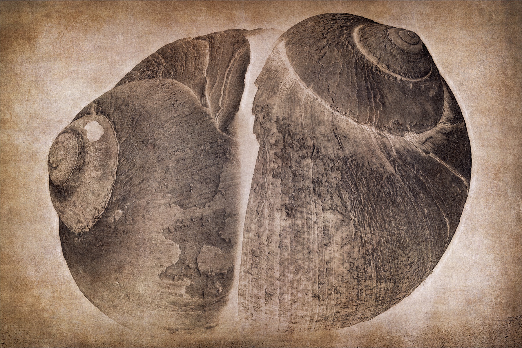 2 Moons